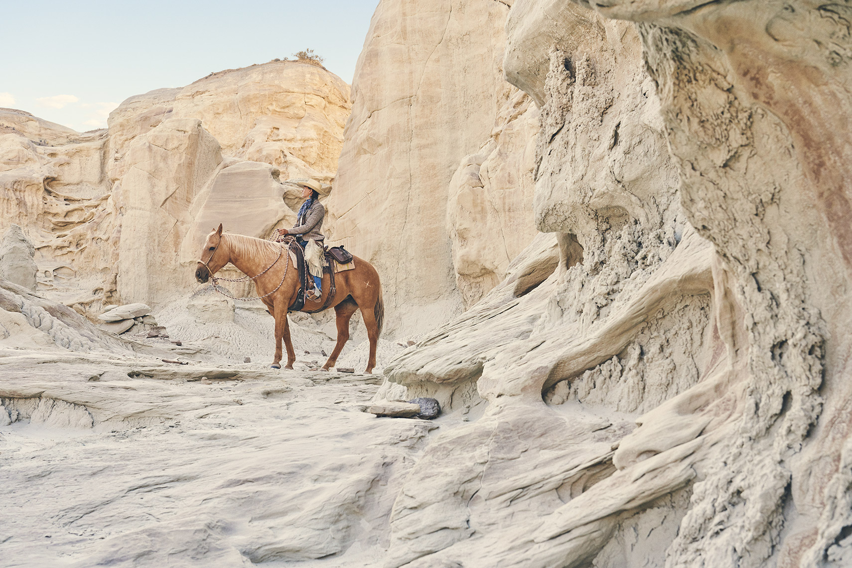 KELLY_HORSE011